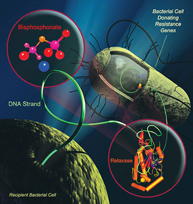 Antibiotic Resistance